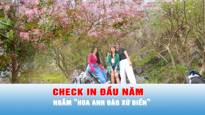 Podcast tin tối 11-1: Du khách nườm nượp về phía Đông TPHCM ngắm “hoa anh đào”