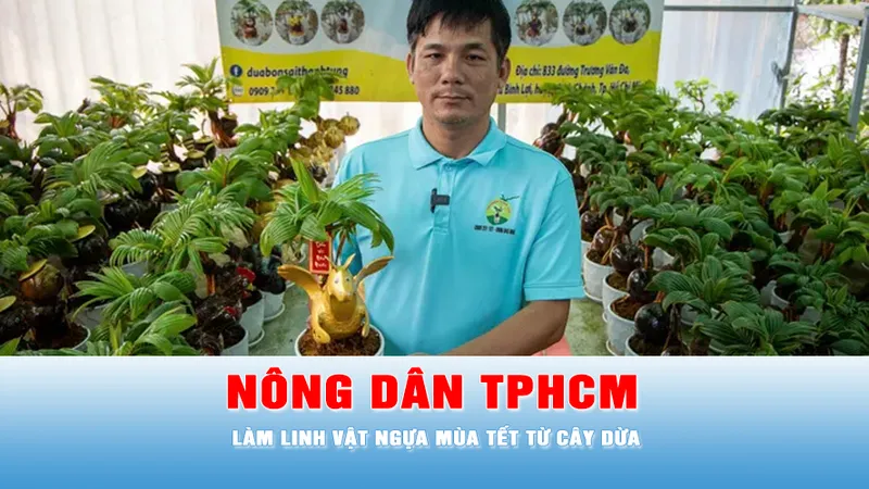 Podcast bản tin tối 20-1: Nông dân TPHCM làm linh vật ngựa mùa Tết từ cây dừa