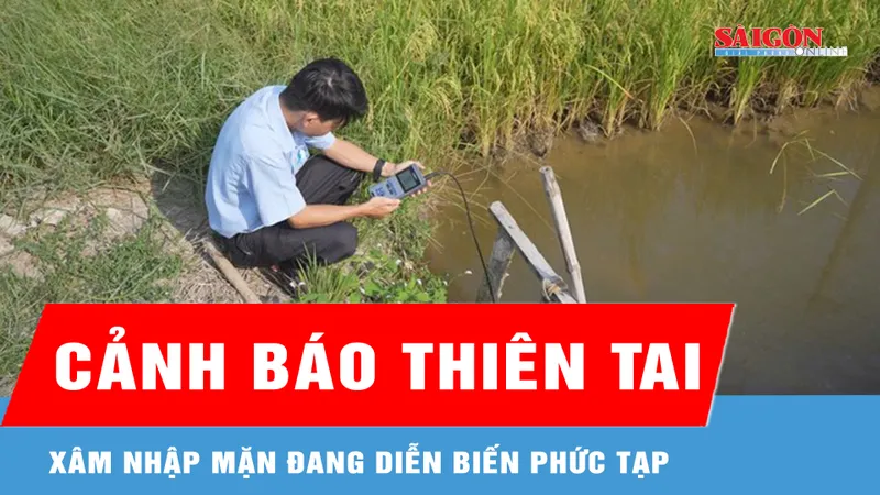 Xâm nhập mặn trên sông Vàm Cỏ phức tạp, người dân cần trữ nước ngọt