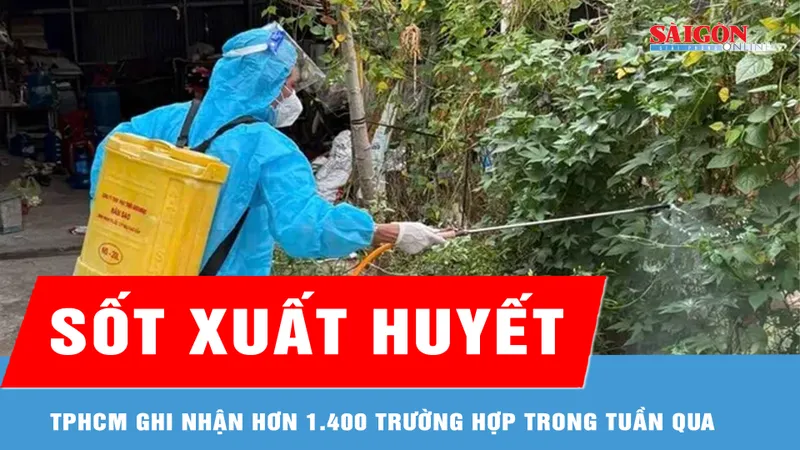 Gia tăng số ca mắc sốt xuất huyết tại nhiều xã, phường 