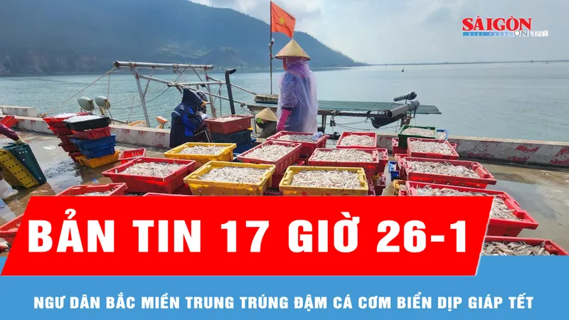 Bản tin 17 giờ 26-1: Ngư dân Bắc miền Trung trúng đậm cá cơm biển dịp giáp tết