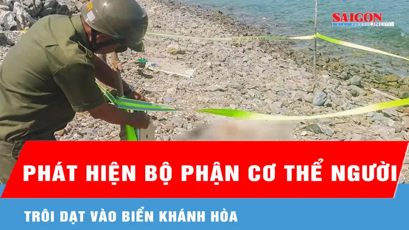Phát hiện bộ phận cơ thể người trôi dạt vào biển Khánh Hòa
