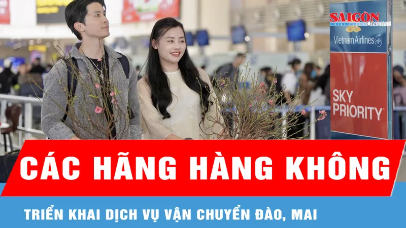 Các hãng hàng không triển khai dịch vụ vận chuyển đào, mai