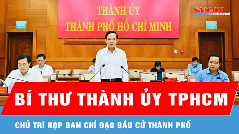 Bí thư Thành ủy TPHCM Trần Lưu Quang chủ trì họp Ban Chỉ đạo bầu cử thành phố 