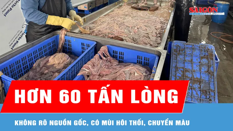 Thu giữ hơn 60 tấn lòng lợn không rõ nguồn gốc, xuất xứ 