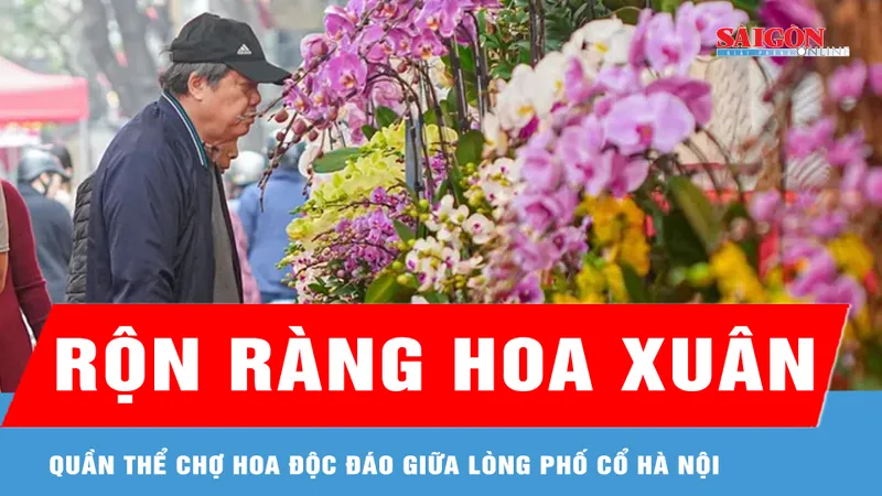 Rộn ràng chợ hoa xuân phố cổ Hà Nội