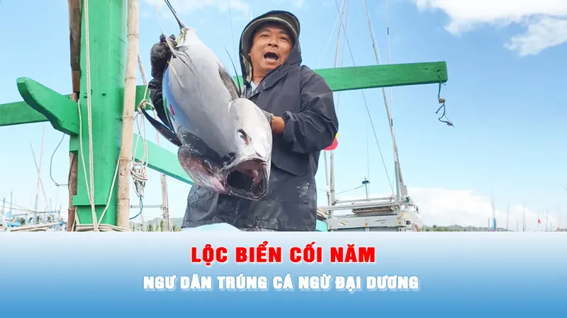 Podcast bản tin tối 6-2: Ngư dân trúng cá ngừ đại dương những ngày giáp Tết