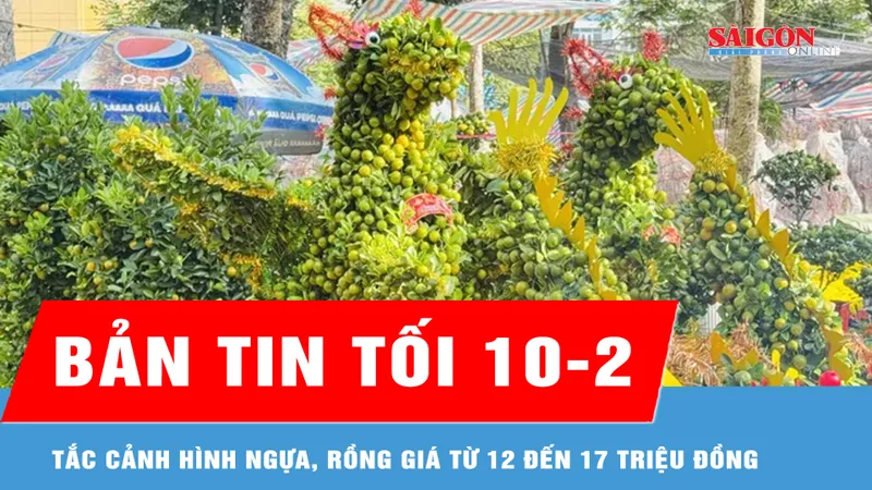 Bản tin tối 10-2: Tắc cảnh hình ngựa, rồng giá từ 12 đến 17 triệu đồng 