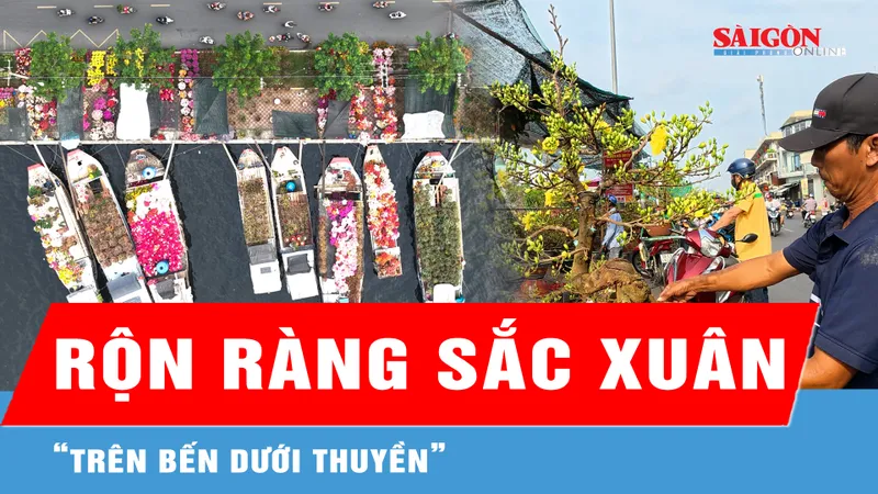 Rộn ràng sắc xuân "Trên bến dưới thuyền" Tết Bính Ngọ 2026