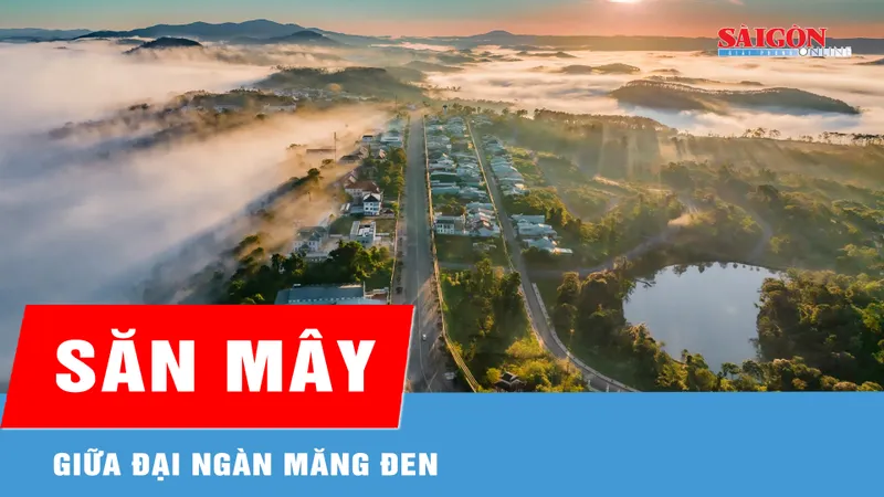 Săn mây giữa đại ngàn Măng Đen