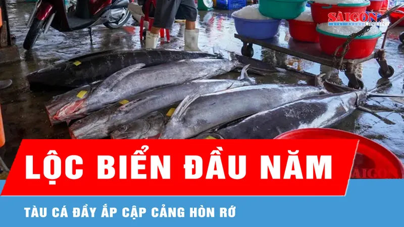 Ngư dân Khánh Hòa hứng khởi đón chuyến biển đầu xuân 