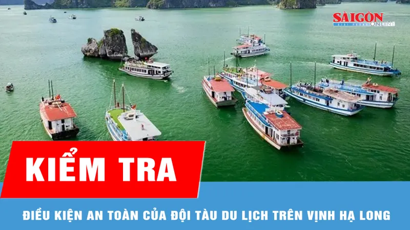 Kiểm tra điều kiện an toàn của đội tàu du lịch trên vịnh Hạ Long
