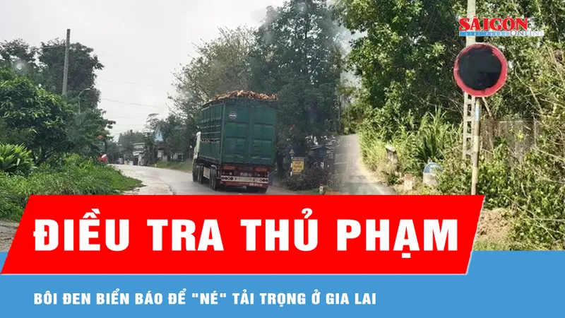Điều tra thủ phạm bôi đen biển báo để "né" tải trọng ở Gia Lai 