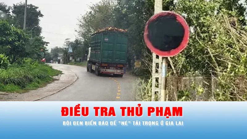 Podcast tin tối 7-3: Điều tra thủ phạm bôi đen biển báo để "né" tải trọng ở Gia Lai