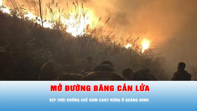 Podcast tin chiều 13-3: Kịp thời khống chế đám cháy rừng ở Quảng Ninh