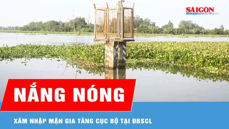 Nắng nóng khiến xâm nhập mặn gia tăng cục bộ tại ĐBSCL 