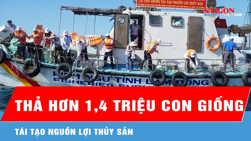 Lâm Đồng: Thả hơn 1,4 triệu con giống tái tạo nguồn lợi thủy sản 