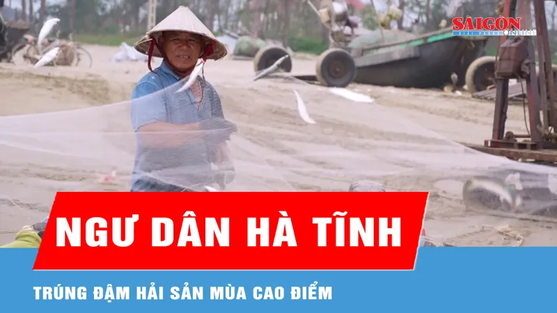 Ngư dân Hà Tĩnh trúng đậm hải sản mùa cao điểm