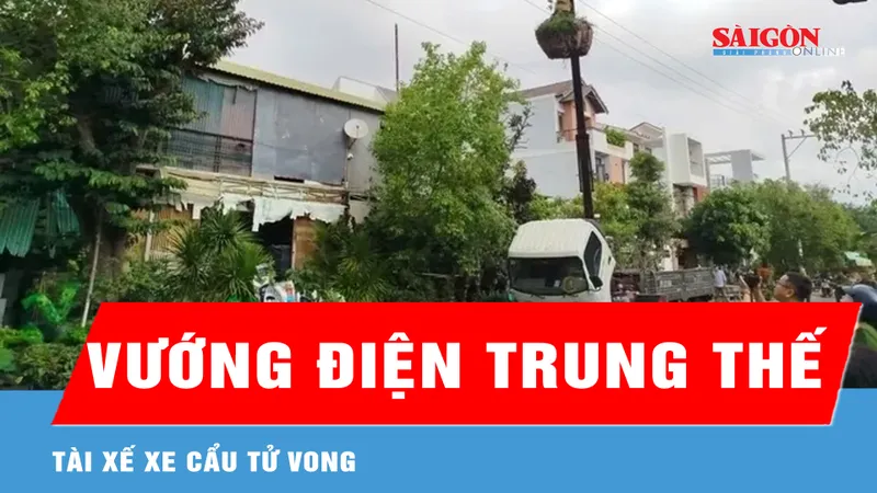 Lâm Đồng: Cẩu cây cảnh vướng điện trung thế, tài xế tử vong 
