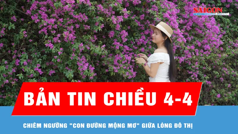 Bản tin chiều 4-4: Chiêm ngưỡng "con đường mộng mơ" giữa lòng đô thị