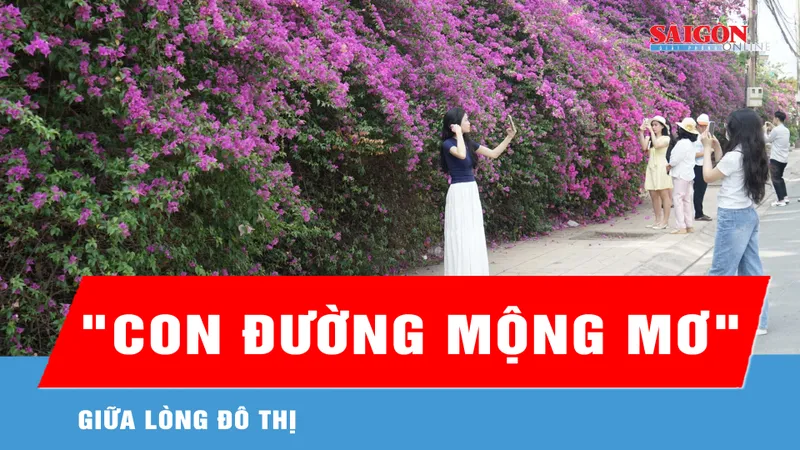 Chiêm ngưỡng "con đường mộng mơ" giữa lòng đô thị 