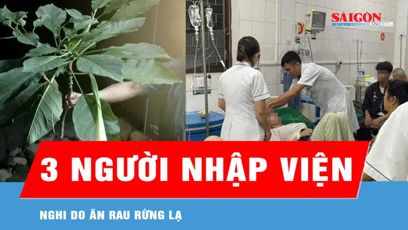 Nghi do ăn rau rừng lạ, 3 người nhập viện cấp cứu 