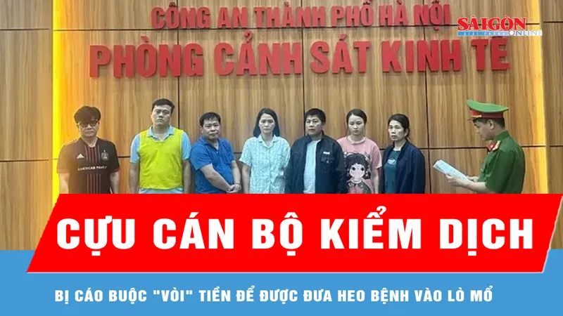 Cựu cán bộ kiểm dịch bị cáo buộc "vòi" tiền để được đưa heo bệnh vào lò mổ 