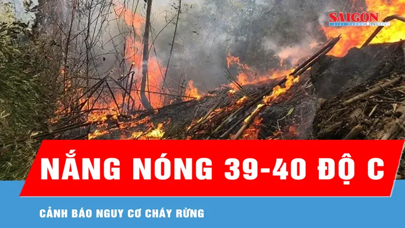 Nắng nóng 39-40 độ C, cảnh báo nguy cơ cháy rừng