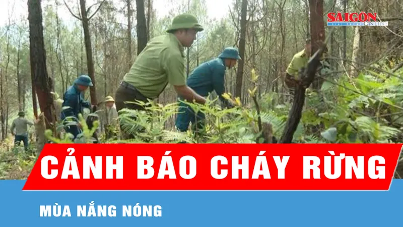 Cảnh báo cháy rừng mùa nắng nóng