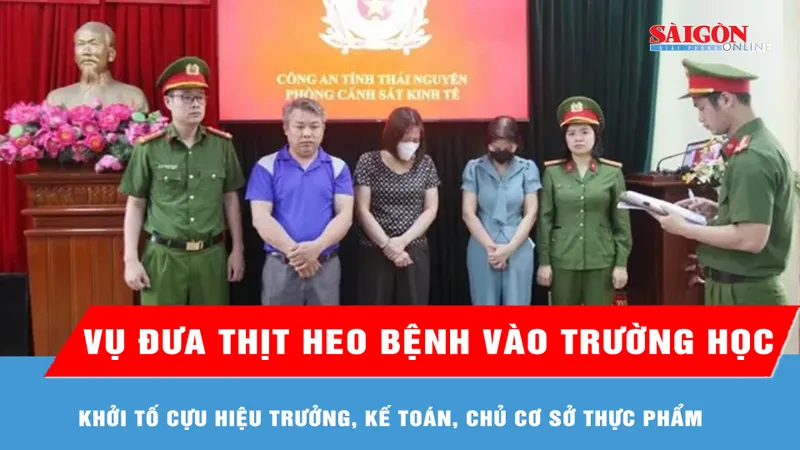 Vụ đưa thịt heo bệnh vào trường học: Khởi tố cựu hiệu trưởng, kế toán, chủ cơ sở thực phẩm 