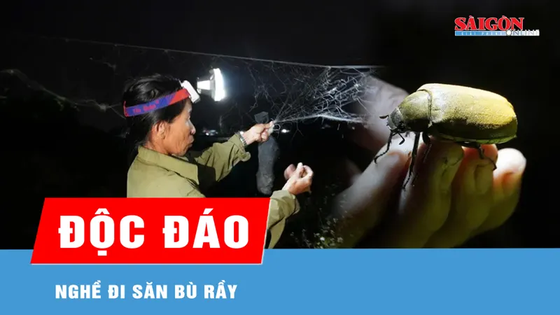Độc đáo nghề đi săn bù rầy 