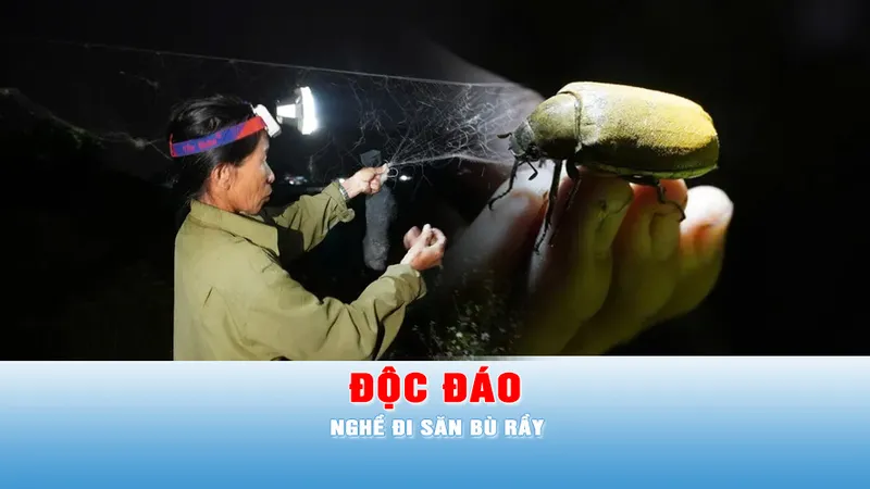Podcast bản tin chiều 19-4: Độc đáo nghề đi săn bù rầy