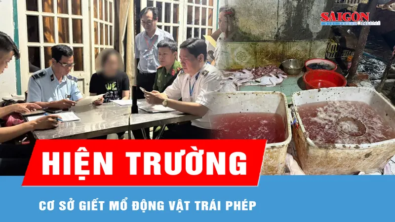 Đột kích các lò giết mổ động vật trái phép ở TPHCM