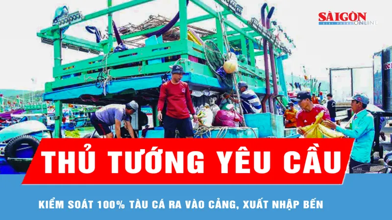 Thủ tướng yêu cầu kiểm soát 100% tàu cá ra vào cảng, xuất nhập bến 