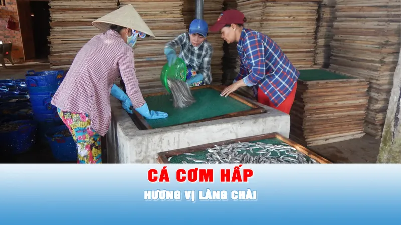 Podcast tin tối 8-5: Nhịp nhàng đưa hương vị làng chài ra sân đón nắng