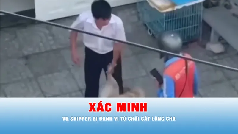 Podcast bản tin trưa 11-5: Xác minh vụ shipper bị đánh vì từ chối cắt lông chó