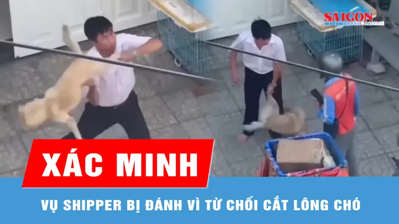 Xác minh vụ shipper bị đánh vì từ chối cắt lông chó