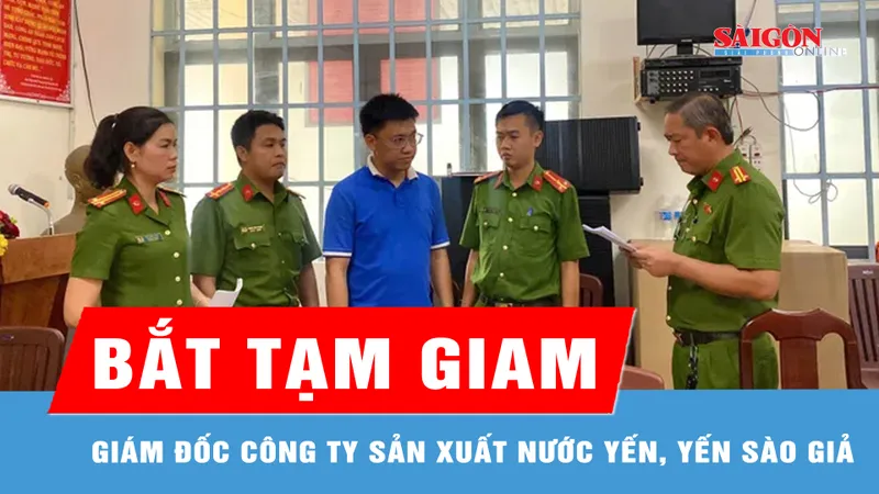 Bắt giám đốc công ty sản xuất nước yến, yến sào giả 