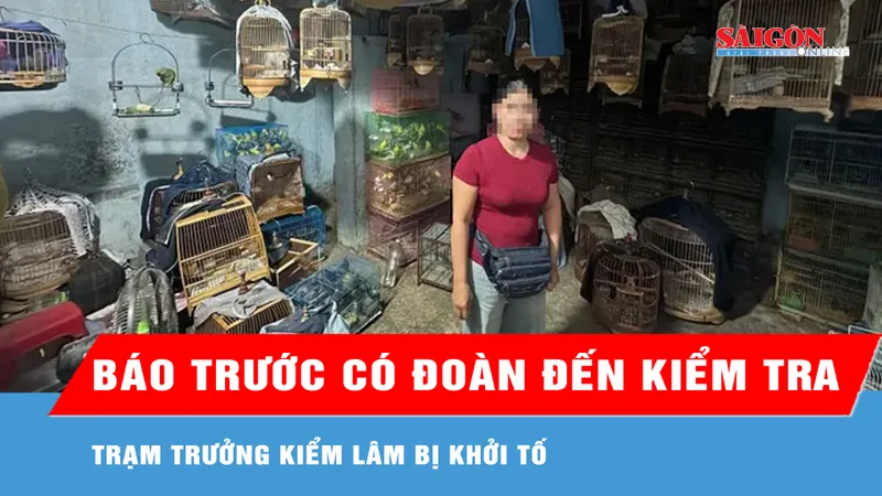 Báo trước có đoàn đến kiểm tra, trạm trưởng kiểm lâm bị khởi tố