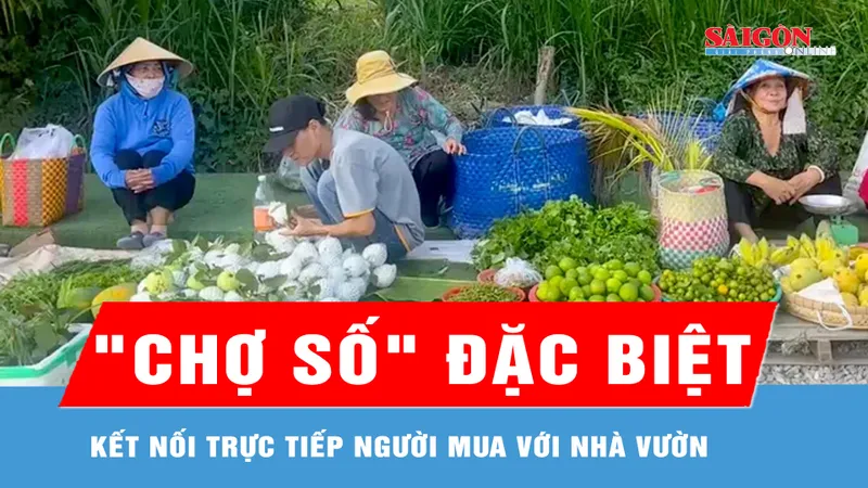 Đồng Tháp hỗ trợ nông dân đưa nông sản vào “chợ số” 