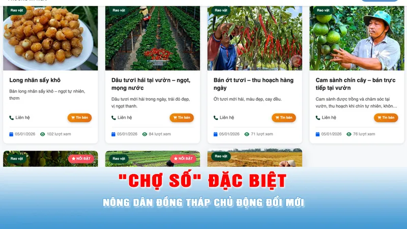 Podcast tin trưa 29-5: "Chợ số" đặc biệt giúp nông dân Đồng Tháp kết nối trực tiếp với khách hành