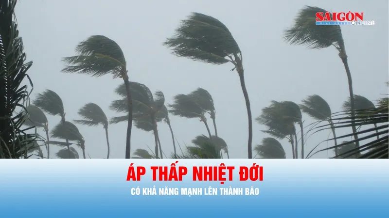 Podcast tin chiều ngày 1-7: Áp thấp nhiệt đới có khả năng mạnh lên thành bão
