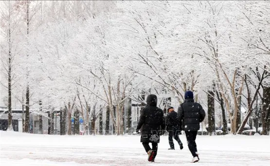 Yonhap: Tuyết phủ trắng trời Seoul, Hàn Quốc