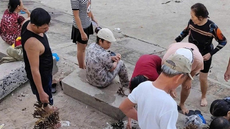庆和省查明在芽庄湾折断珊瑚的游客团