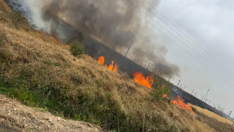  Cháy rừng tại Israel. Ảnh: ISRAEL FIRE AND RESCUE AUTHORITY