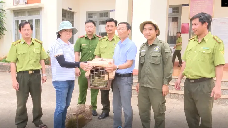 Bình Phước: Người dân bắt được 2 con rái cá quý hiếm bàn giao cho kiểm lâm