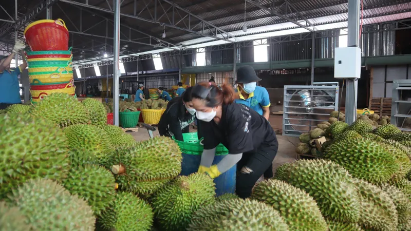 Tốc độ tăng trưởng ngành nông nghiệp của tỉnh Bình Phước cao nhất nước 