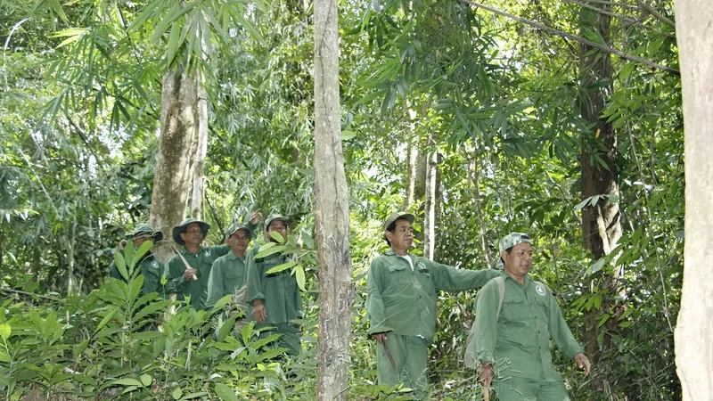 Bình Phước: Kiên quyết bảo vệ nghiêm ngặt hơn 55.900ha rừng tự nhiên hiện có 