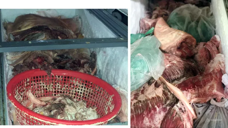 Bình Phước: Tiêu hủy hơn 780kg thịt heo nhiễm dịch tả heo châu Phi