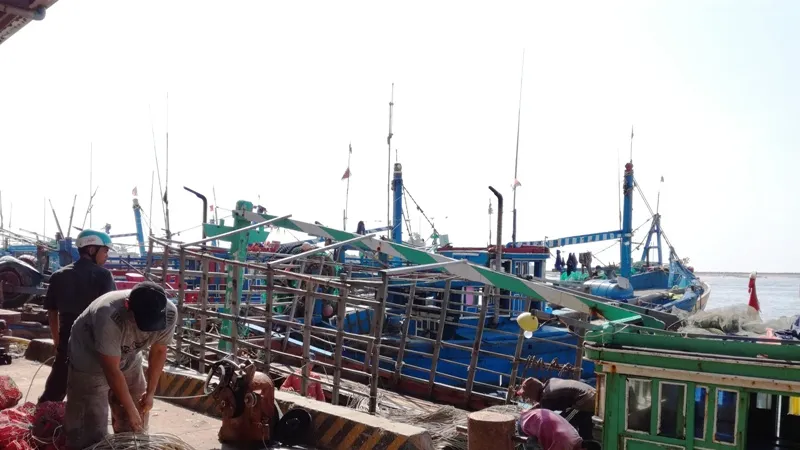 Ngư dân tỉnh Bình Thuận tất bật ra khơi trở lại sau cơn bão số 12.